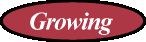 Growing Cranberries