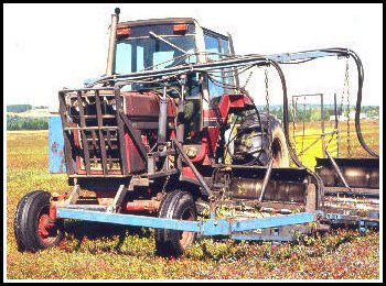 harvesting machine blueberries wild wildblueberries